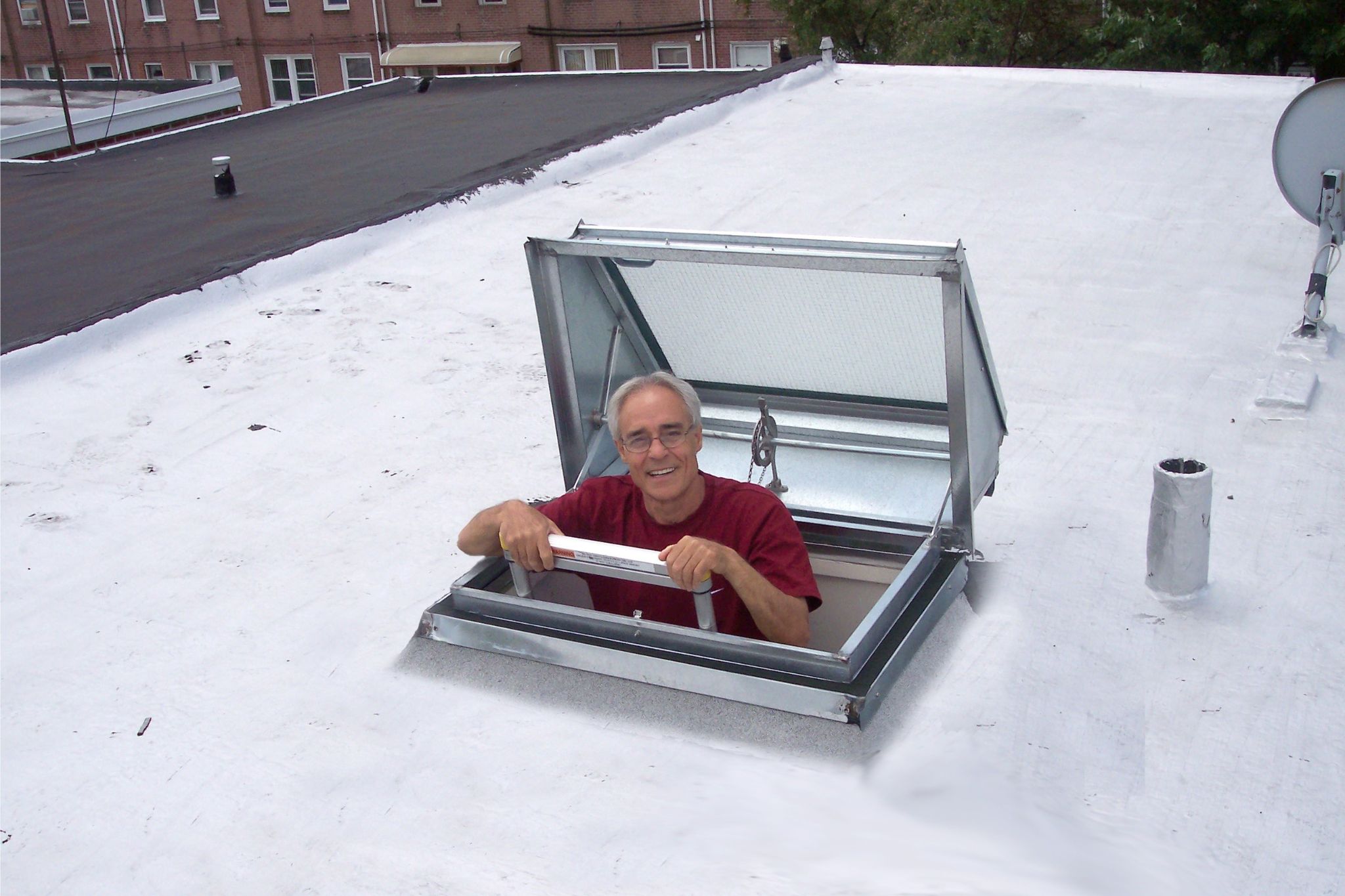 E-Z Access Skylight with Ladder